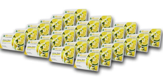 48 Count - TreeFrog Xtreme Fresh Natural Air Freshener
