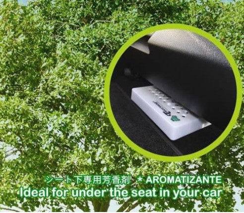 Treefrog Xtreme Fresh Box air freshener in a white box with blue and green accents, designed to freshen indoor spaces.
