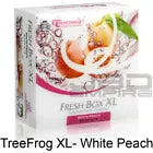 24 Count Fresh Box XL